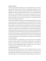 Tạo dựng sự hiện diện toàn cầu 3 doc