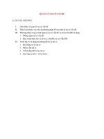 Lý Thuyết Tín Dụng Ngân Hàng: QUẢN LÝ NỢ CÓ VẤN ĐỀ pptx