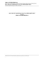 bản thuyết minh báo cáo tài chính hợp nhất năm 2010 công ty cổ phần sông đà 11