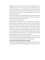 Tạo dựng sự hiện diện toàn cầu 5 pptx