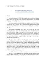 MÔI TRƯỜNG MARKETING - CÁC YẾU TỐ VĨ MÔ pot