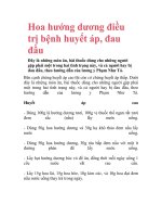 Hoa hướng dương điều trị bệnh huyết áp, đau đầu potx