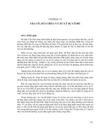 Thiết kế đê và công trình bảo vệ bờ - Chương 6 doc