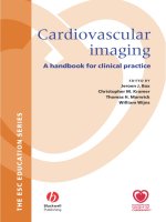 Cardiovascular Imaging A handbook for clinical practice - Part 1 pptx