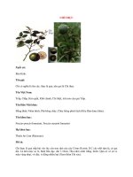 Lý Thuyết Dược Học: CHỈ THỰC pps