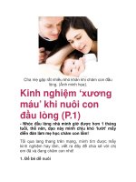 Kinh nghiệm ‘xương máu’ khi nuôi con đầu lòng (P.1) ppsx
