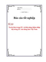 Đề tài tốt nghiệp :Tự do hóa trong EU và khả năng thâm nhập thị trờng EU của hàng hoá Việt Nam Phần 2 pps
