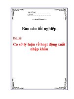 Luận văn: Cơ sở lý luận về hoạt động xuất nhập khẩu docx
