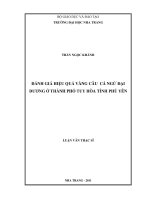 Đánh giá hiệu quả vàng câu cá ngừ đại dương ở thành phố tuy hòa tỉnh phú yên
