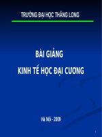 Giáo trình kinh tế học đại cương_Hàng hoá công cộng và các nguồn lực cộng đồng potx