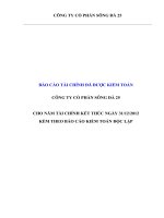 báo cáo tài chính đã được kiểm toán công ty cổ phần sông đà 25 cho năm tài chính kết thúc ngày 31 tháng 12 năm 2012 kèm theo báo cáo kiểm toán độc lập