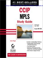 Cisco CCIP MPLS Study Guide phần 1 pot