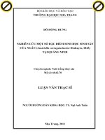 NGHIÊN cứu một số đặc điểm SINH học SINH sản của NGÁN (austriella corrugata lucine deshayes, 1843) tại QUẢNG NINH