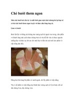Chè bưởi thơm ngon pps