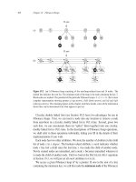 INTRODUCTION TO ALGORITHMS 3rd phần 5 pdf