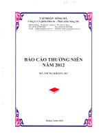 công ty cổ phần đầu tư phát triển sông đà báo cáo thường niên 2012 mã chứng khoán sic
