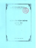 công đoàn tập đoàn sông đà công ty cổ phần đầu tư phát triển sông đà báo cáo tài chính quý 2 năm 2012 toàn công ty