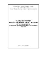 TÀI LIỆU HUẤN LUYỆN AN TOÀN, VỆ SINH LAO ĐỘNG CHO NGƯỜI SỬ DỤNG LAO ĐỘNG - BÀI 1 pdf