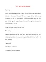 Lý Thuyết Bệnh Học: MẮT VIÊM DO ĐIỆN QUANG potx