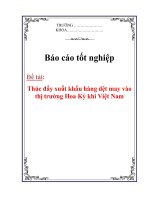 Luận văn: Thúc đẩy xuất khẩu hàng dệt may vào thị trường Hoa Kỳ khi Việt Nam pps