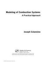 Modeling of Combustion Systems A Practical Approach 14 potx