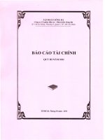 tập đoàn sông đà công ty cổ phần đầu tư phát triển sông đà báo cáo tài chính quý 3 năm 2011