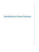 Introduction to Smart Antennas - Chapter 1 ppsx
