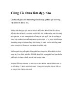 Cùng Cà chua làm đẹp nào pps