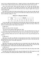 Cẩm nang dành cho kỹ sư địa chất_p9 doc