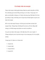 Các thuộc tính của margin pptx