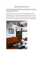 Ngôi nhà nhiệt đới ở thủ đô Argentina pot