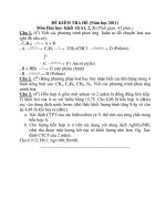 ĐỀ KIỂM TRA HÈ (Năm học 2011) Môn Hoá học- Khối 12(A1, 2, 3) pdf