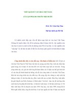 VIẾT LỊCH SỬ VĂN HOÁ VIỆT NAM: LÍ LUẬN PHẢI ĐI TRƯỚC MỘT BƯỚC ppsx