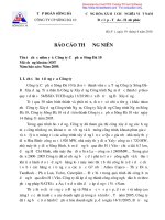tập đoàn sông đà công ty cp sông đà 10 báo cáo thường niên 2009