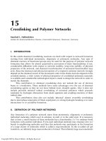 Handbook of Polymer Synthesis Second Edition Episode 15 pdf