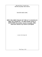 Điều tra hiện trạng kỹ thuật và đánh giá hiệu quả kinh tế   xã hội  nghề nuôi cá bống bớp  (bostrichthys sinensislacepède, 1801)  thương phẩm tại tỉnh  nam định