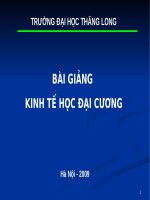 Bài giảng kinh tế học đại cương_Các ngoại ứng ppt