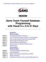 Sams Teach Yourself Database Programming with Visual C++ 6 in 21 Days phần 1 potx