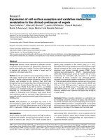 Báo cáo khoa học: 