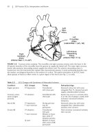 150 Practice ECGs: Interpretation and Review - Part 3 docx