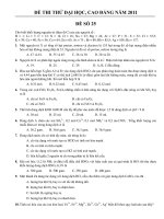 ĐỀ THI THỬ ĐẠI HỌC, CAO ĐẲNG NĂM 2011 ĐỀ SỐ 25 pdf