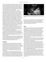 Applied Radiological Anatomy for Medical Students Applied - part 4 pptx