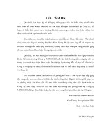 Kế toán doanh thu tiêu thụ và xác định kết quả kinh doanh tại công ty cổ phần khoáng sản và đầu tư  khánh hòa