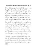 Kinh nghiệm chữa bệnh đường tiêu hóa bằng cây cỏ potx