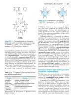 Harper’s Illustrated Biochemistry - Part 5 pptx