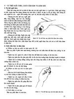 Nghề thêu Rua part 2 docx