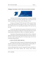 Thực tập tại công ty cổ phần viễn thông TP hồ chí minh