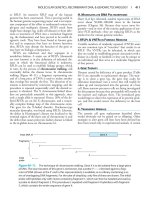 Harper’s Illustrated Biochemistry - Part 7 ppsx