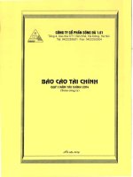 công ty cổ phần sông đà 1.01 báo cáo tài chính quý 1 năm 2014 toàn công ty