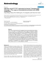Retrovirology Research BioMed Central Open Access Induction of p21CIP1/WAF1 expression by human potx